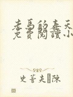 老马的春天全文免费阅读小说