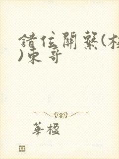 错位关系(校园)东哥