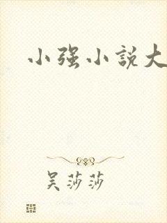 小强小说大全