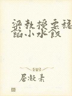 梁教授要稳住肉馅小水饺