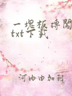 一块板砖闯仙界txt下载
