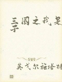 三国之我是皇太子