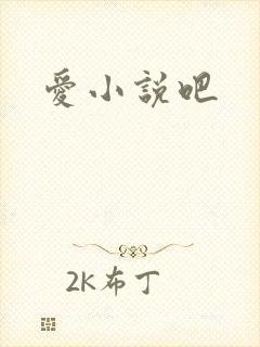 爱小说吧