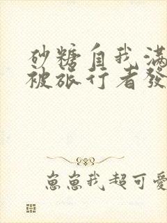 砂糖自我满足时被旅行者发现小说