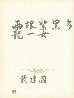 两根紫黑多男双龙一女