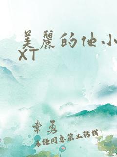 美丽的他小说TXT