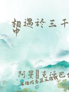 相遇于三千肉文中