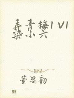 弄青梅1 V1染小六