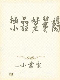 极品好儿媳苏灿小说免费阅读