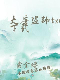 大唐盗帅txt下载