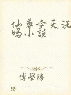 仙尊今天洗白了吗小说