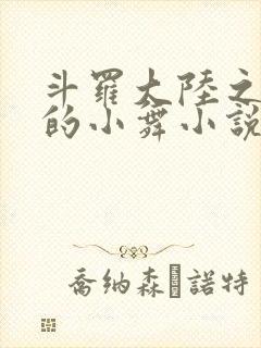斗罗大陆之Y荡的小舞小说