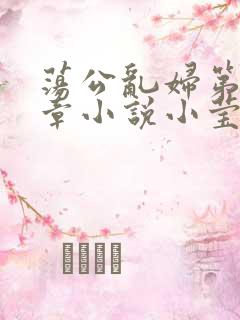荡公乱妇第51章小说小莹
