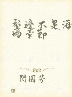 鬓边不是海棠红肉章节