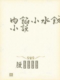 肉馅小水饺写的小说