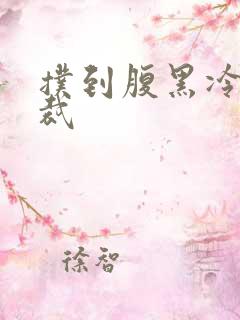 扑到腹黑冷面总裁