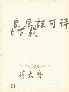 良辰讵可待txt下载