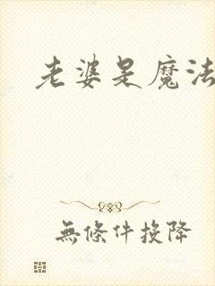 老婆是魔法少女