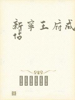 新宁王府成人网站