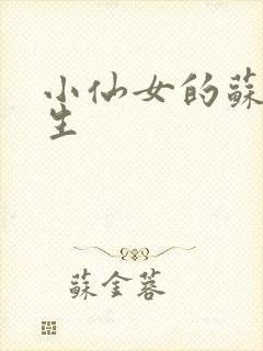 小仙女的苏撩先生