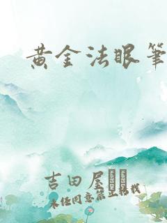 黄金法眼笔趣阁