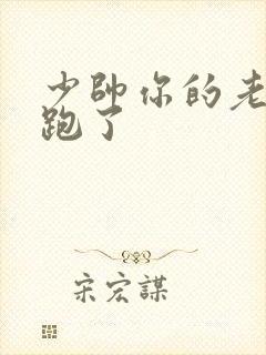 少帅你的老婆又跑了