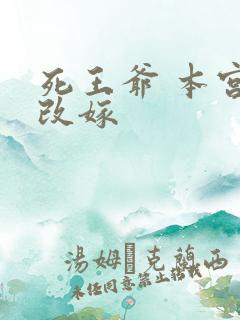 死王爷 本宫已改嫁
