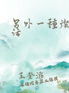 另外一种灿烂生活