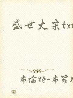 盛世大宋txt
