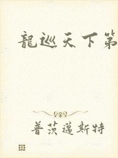 龙巡天下第四部