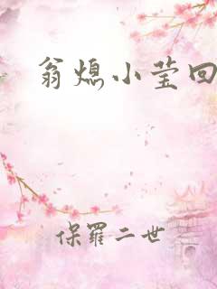 翁熄小莹回乡下