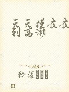 天天摸夜夜摸摸到高潮