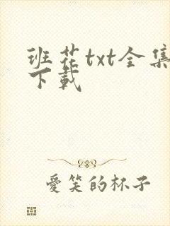 班花txt全集下载