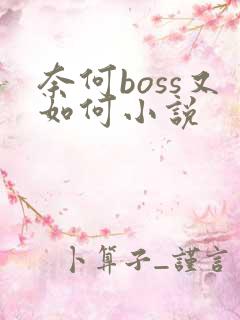 奈何boss又如何小说