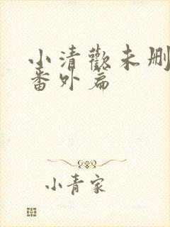 小清欢未删减版番外篇