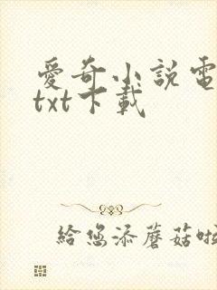 爱奇小说电子书txt下载