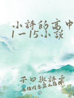 小诗的高中日记1一15小说