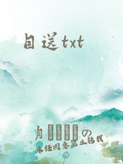 目送txt