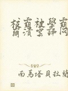 校霸被学霸玩到崩溃云译网