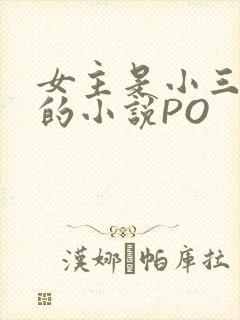 女主是小三很婊的小说PO