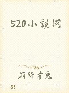 520小说网