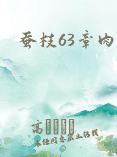 蚕枝63章肉