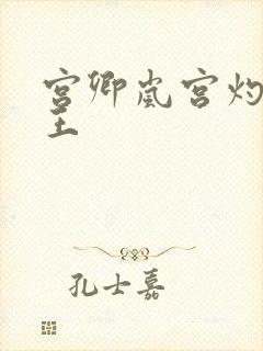 宫卿岚宫灼摄政王