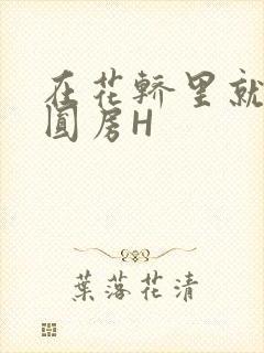 在花轿里就开始圆房H