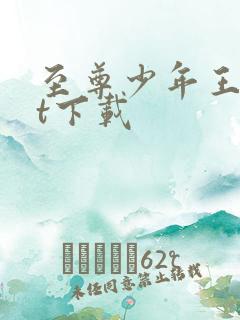 至尊少年王txt下载