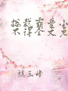 总裁霸爱小妻惹不得全文免费阅读笔趣阁