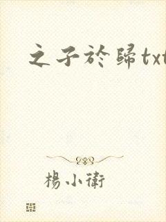 之子于归txt