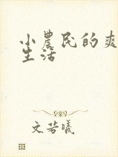 小农民的爽歪歪生活