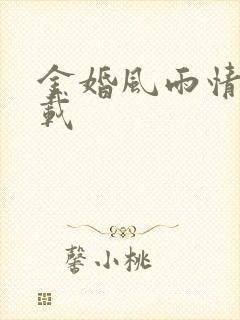 金婚风雨情 下载