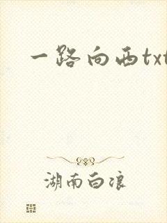 一路向西txt